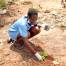 community tree planting